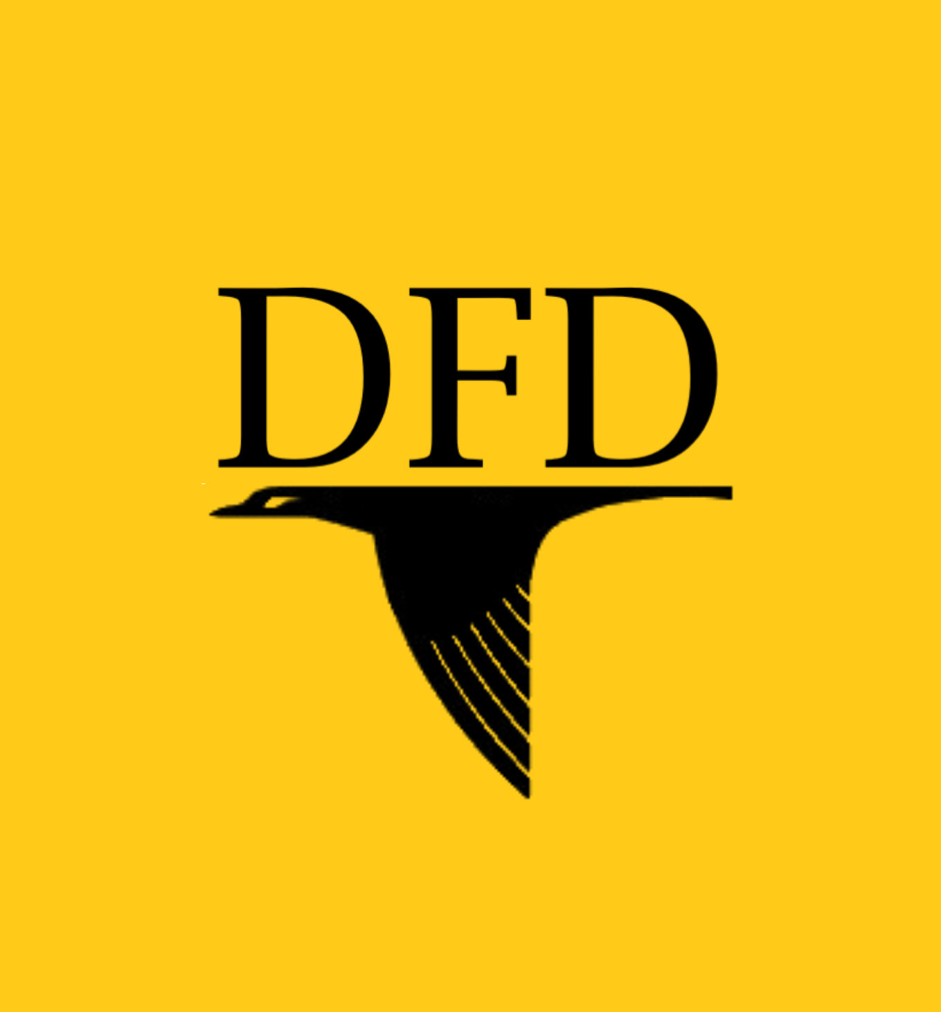 Deutsches Flug Dienst