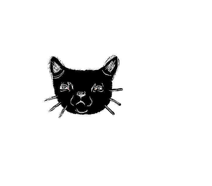 Warrior Cats Fan Club