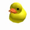 Epiz Ducks Group!11!!