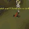 Runescape