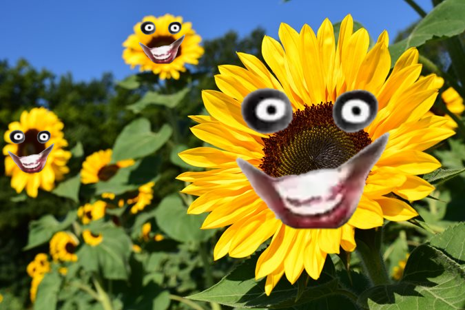 AHHHHHHHHHHHH