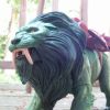 bob battle lion