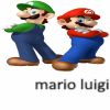 mario and luigi fan gruop group