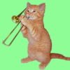 Cat lovers!