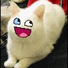 Epic face fans