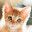 Cat Fans Group