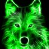 cool grup