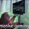 monkey lovers