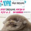 Группа чзх