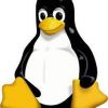 Linux gamers