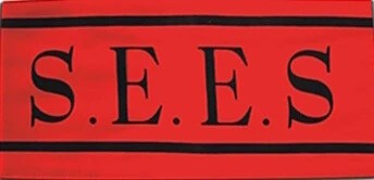 The Specialized Extracurricular Execution Squad (S.E.E.S)