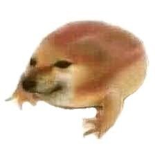 hepo