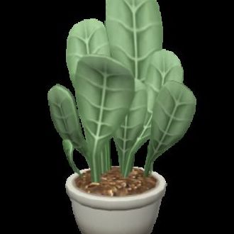 Bush