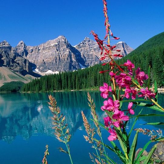 Nice wallpapers