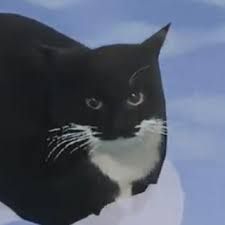Maxwell the cat