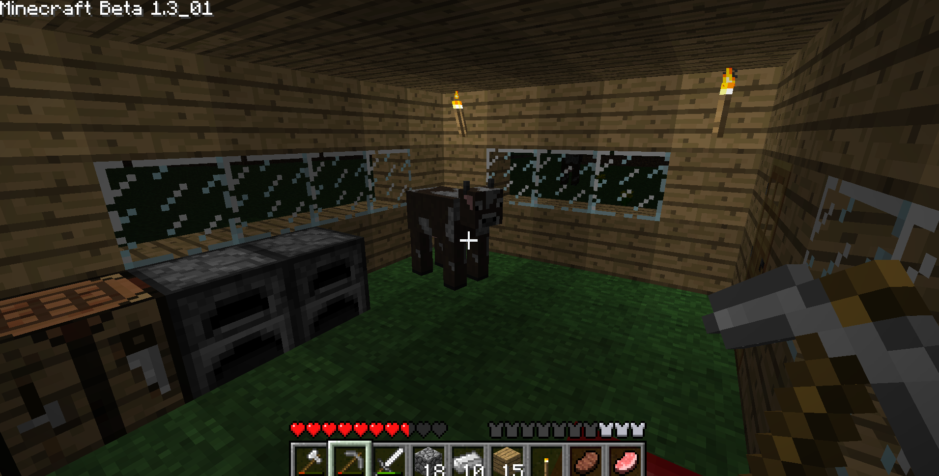 Minecraft