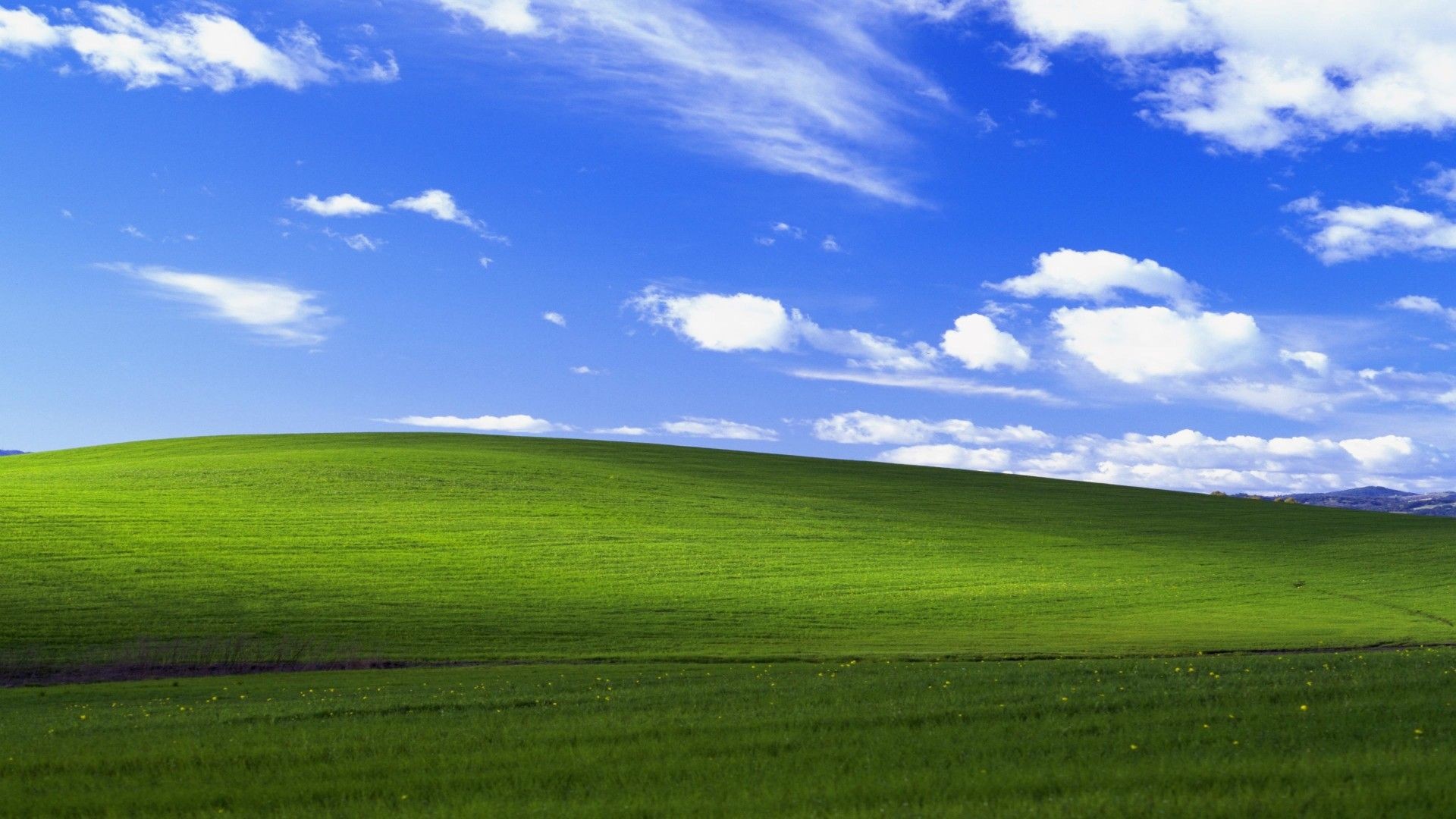WINDOWS STUFF