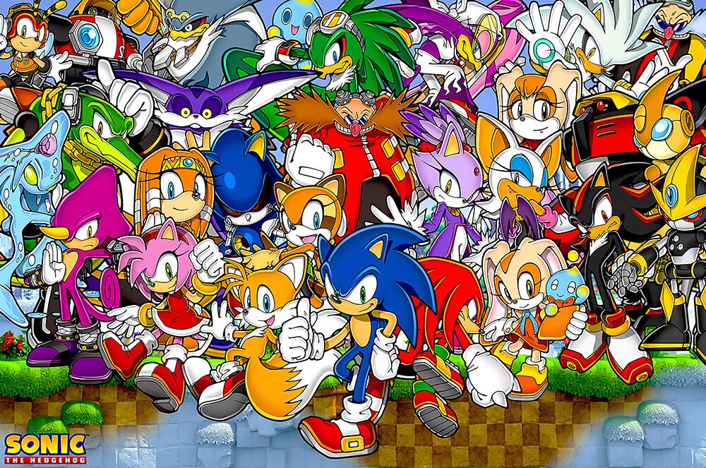 sonic&amp;#039;s friends group photos