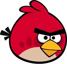 birds alot