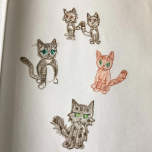 random images